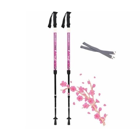 Nouveau BungyPump Pink Évolution (4+6kg)