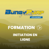 Initiation en Ligne
