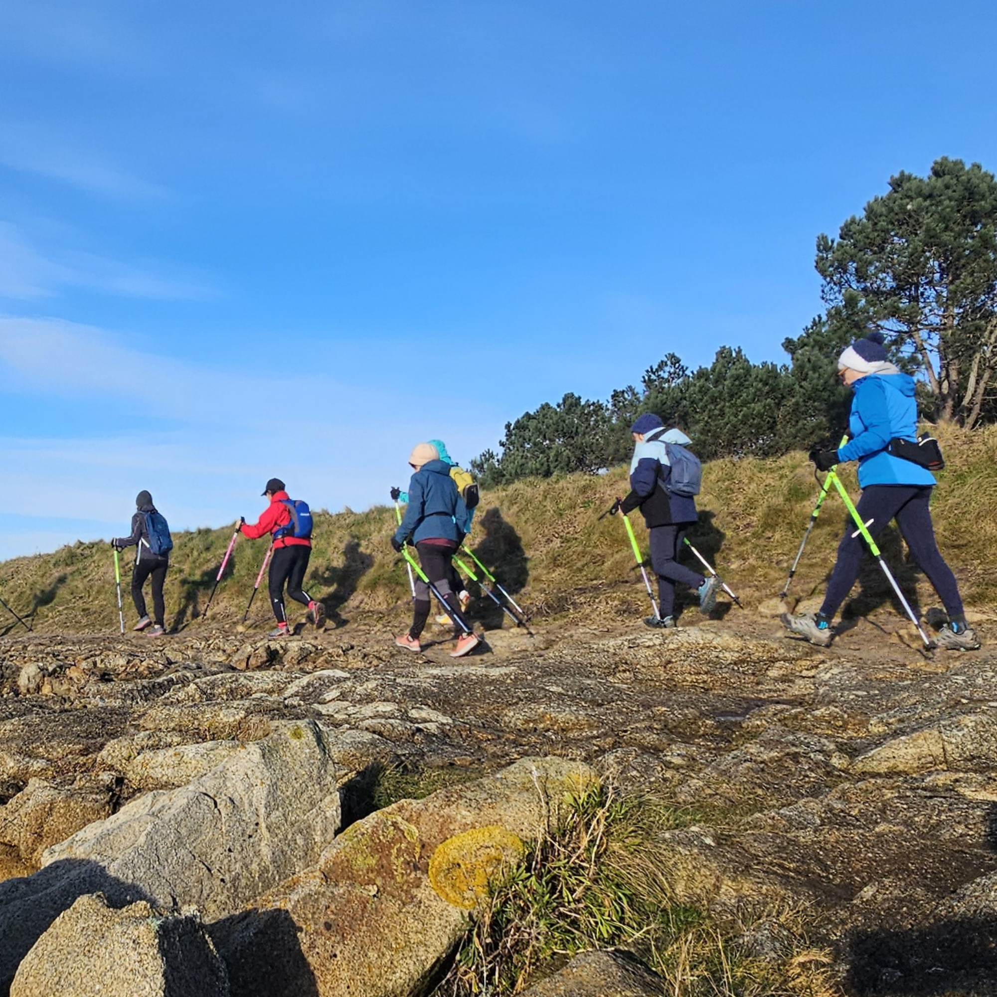 Schema marche nordique