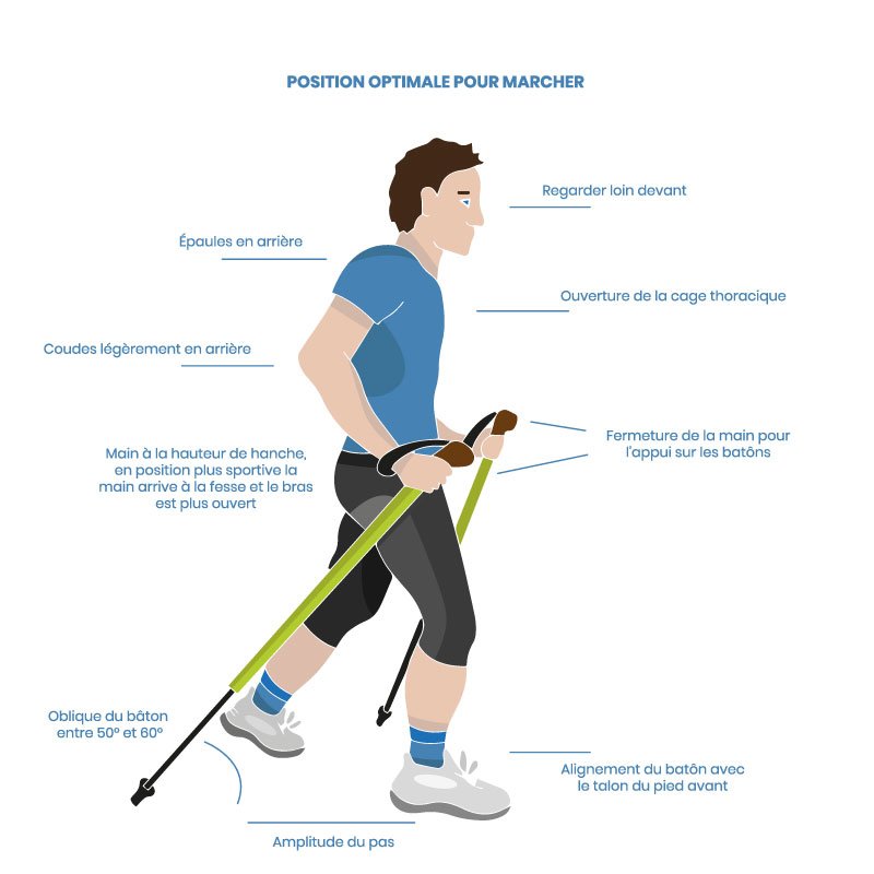 Schema marche nordique