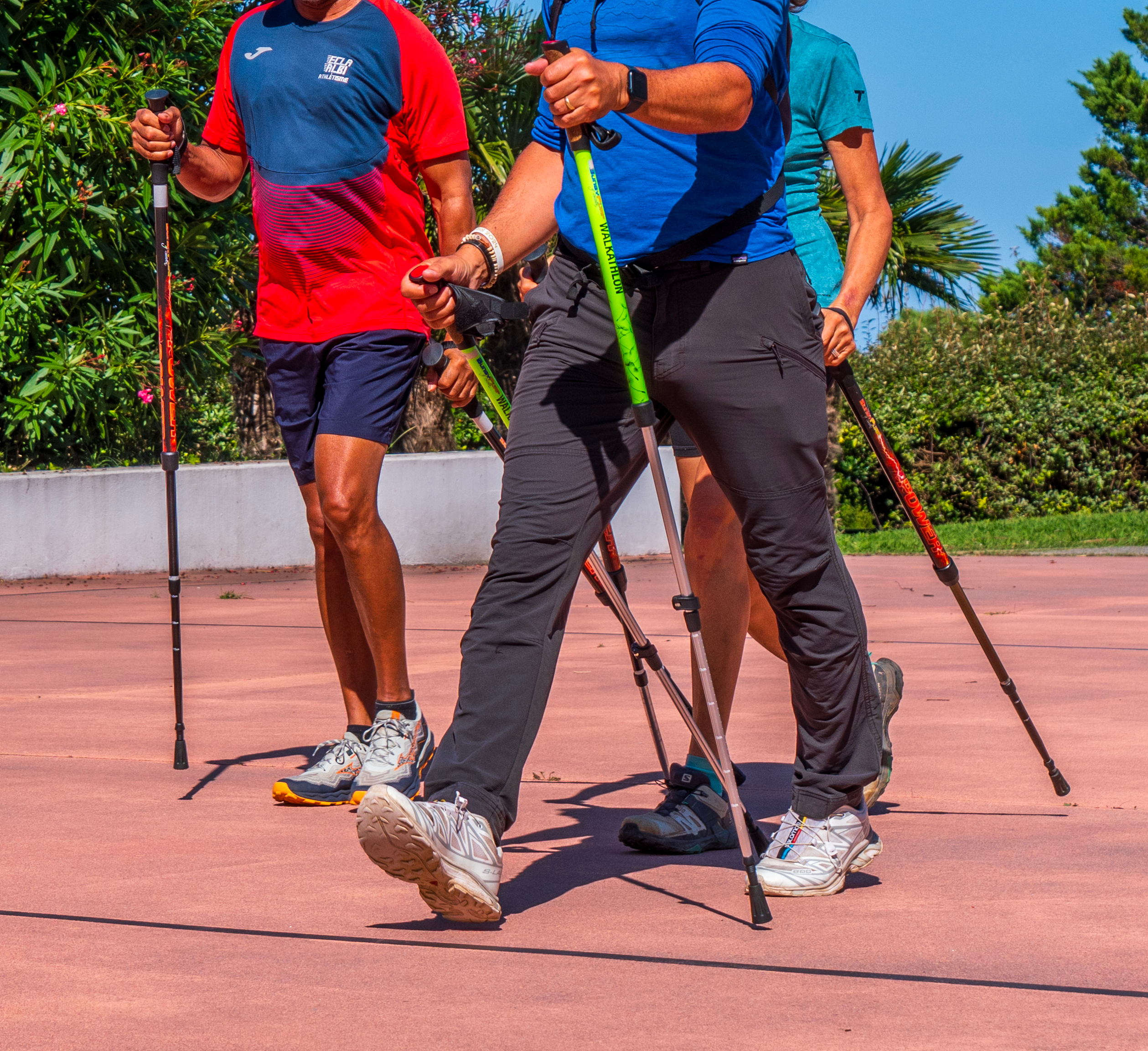 Schema marche nordique