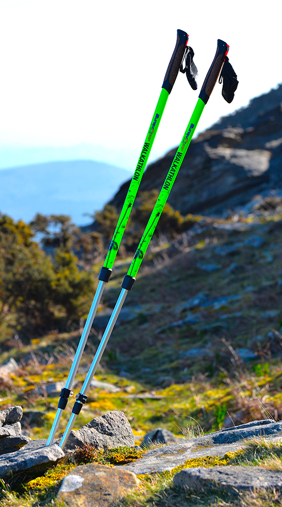 Schema marche nordique