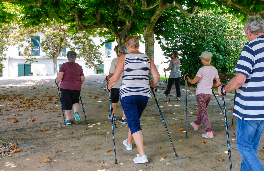 Schema marche nordique