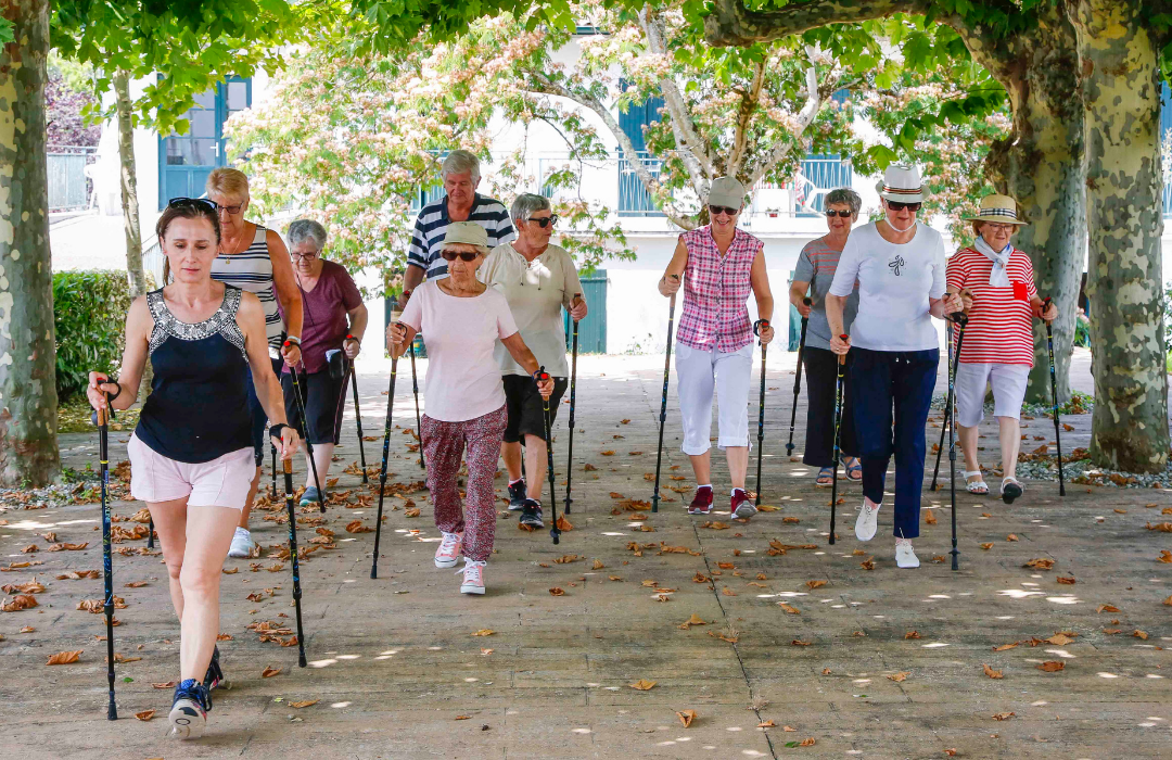 Schema marche nordique