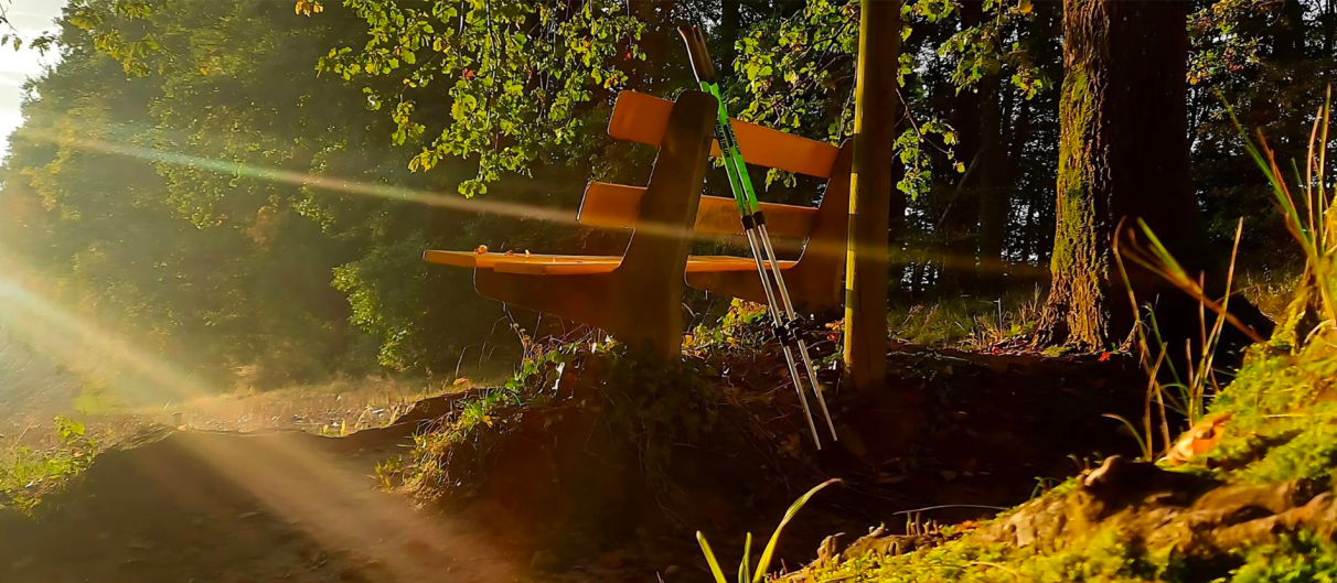 Balades automnales avec BungyPump : Les meilleurs itinéraires pour profiter de l’automne