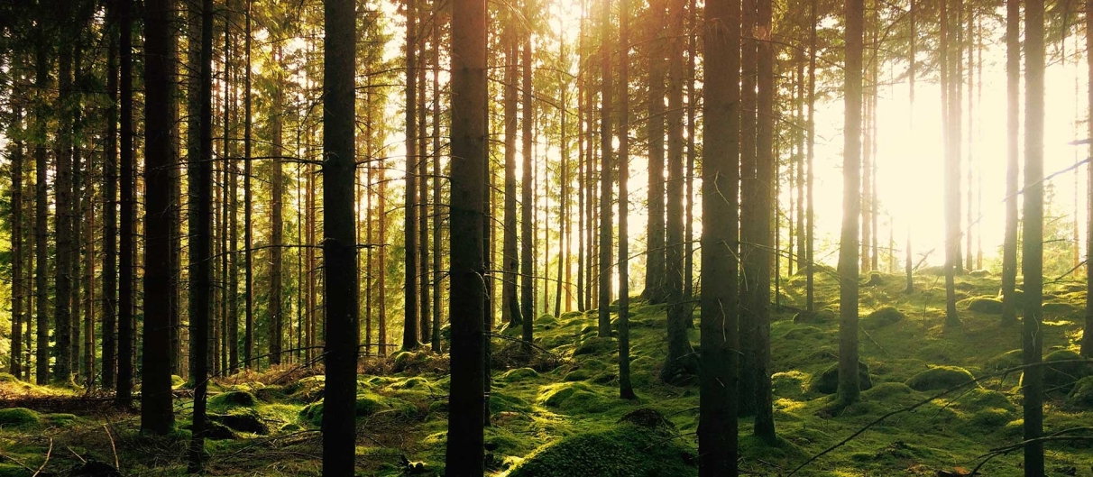 Participation de BungyPump.be aux découvertes nordiques